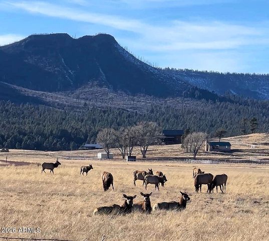 3 County Road N2261 --, Alpine, AZ 85920