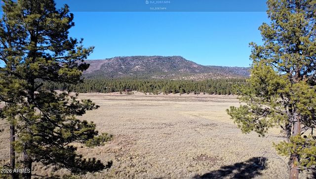 3 County Road N2261 --, Alpine, AZ 85920