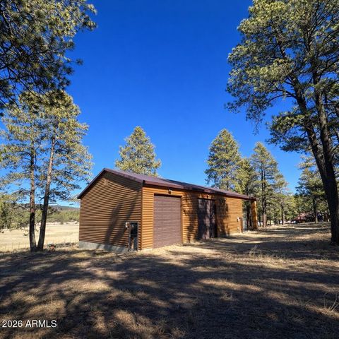 3 County Road N2261 --, Alpine, AZ 85920