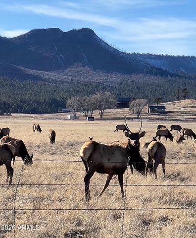 3 County Road N2261 --, Alpine, AZ 85920