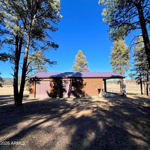 3 County Road N2261 --, Alpine, AZ 85920