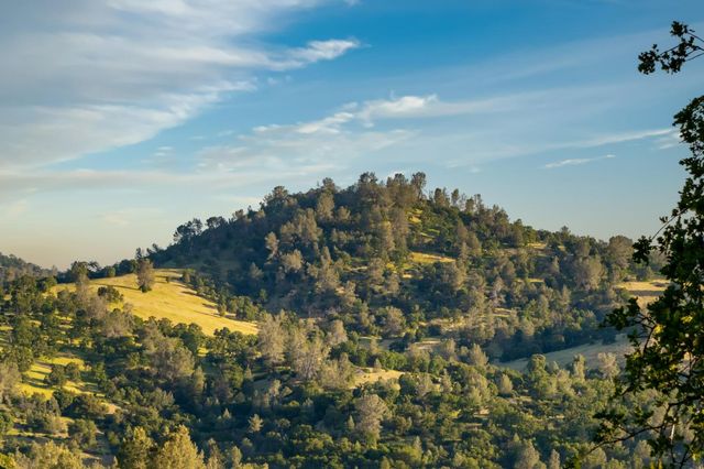 9997 Deer Ridge Ct, Browns Valley, CA 95918