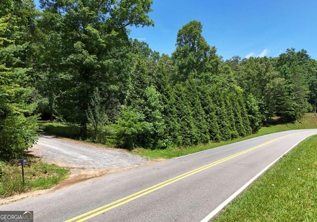3373 Hardscrabble Road, Mineral Bluff, GA 30559