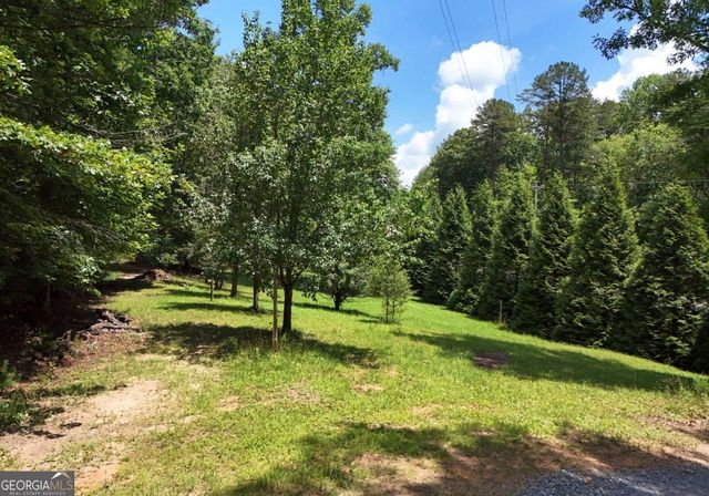 3373 Hardscrabble Road, Mineral Bluff, GA 30559