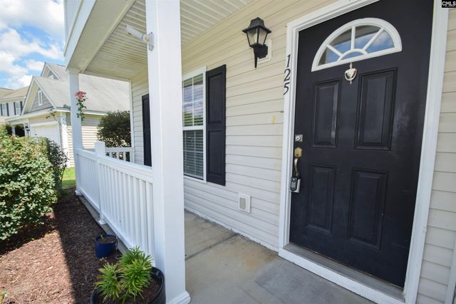 125 Baltic Court, Chapin, SC 29036