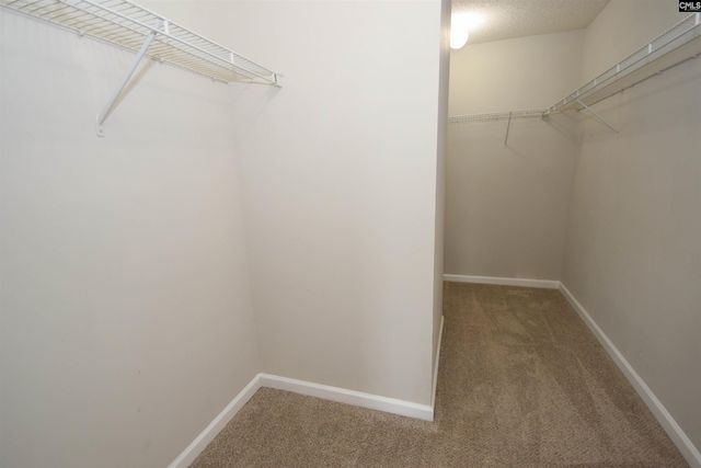 125 Baltic Court, Chapin, SC 29036