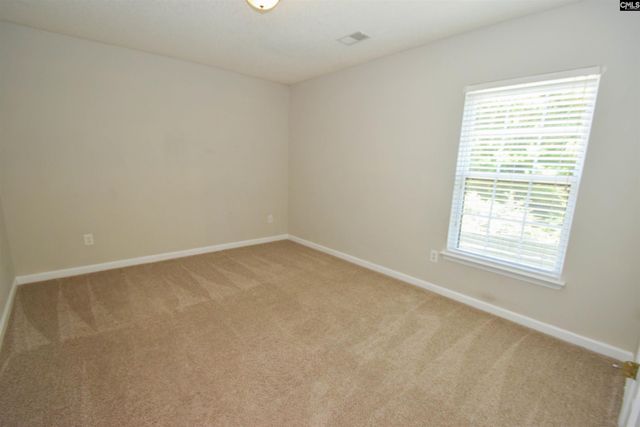 125 Baltic Court, Chapin, SC 29036