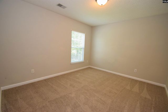 125 Baltic Court, Chapin, SC 29036