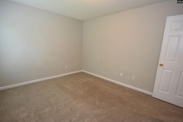 125 Baltic Court, Chapin, SC 29036