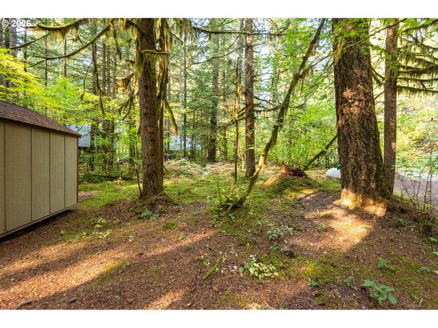 Cabin 177 Northwoods, Cougar, WA 98616