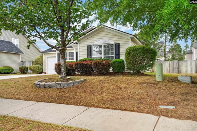 809 Wing Stripe Court, Columbia, SC 29229