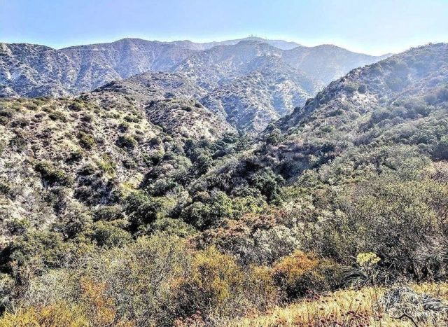54 Sister Elsie, Tujunga, CA 90031