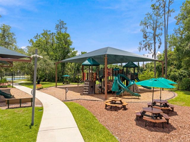 3449 LOGGERHEAD WAY, Wesley Chapel, FL 33544
