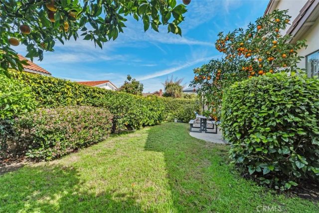 14541 Savin Avenue, Irvine, CA 92606