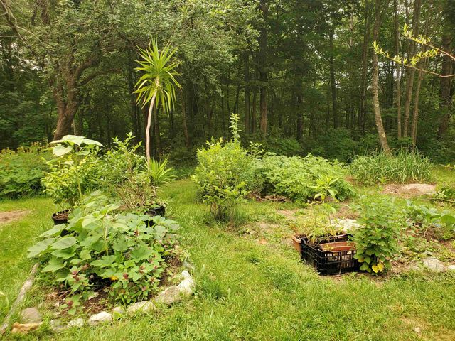 220 New Colony Road, Orange, NH 03741