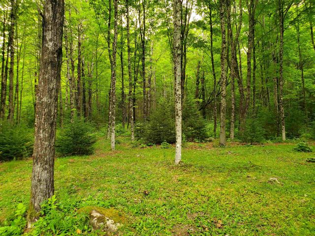 220 New Colony Road, Orange, NH 03741