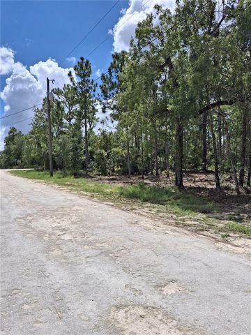14167 CONDOR ROAD, Weeki Wachee, FL 34614