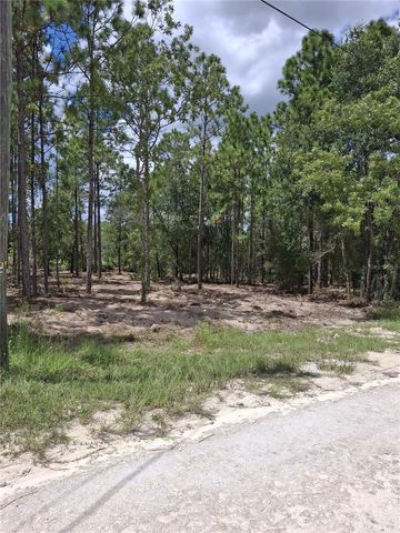 14167 CONDOR ROAD, Weeki Wachee, FL 34614