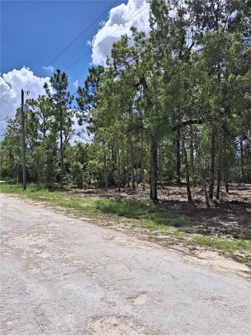 14167 CONDOR ROAD, Weeki Wachee, FL 34614