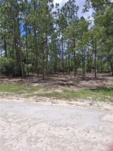 14167 CONDOR ROAD, Weeki Wachee, FL 34614