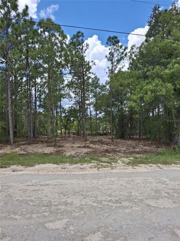 14167 CONDOR ROAD, Weeki Wachee, FL 34614
