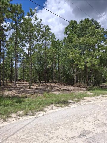 14167 CONDOR ROAD, Weeki Wachee, FL 34614