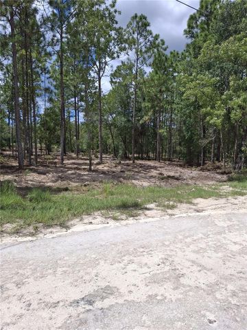 14167 CONDOR ROAD, Weeki Wachee, FL 34614