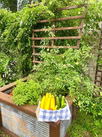 4438 Yates Avenue N, Crystal, MN 55422