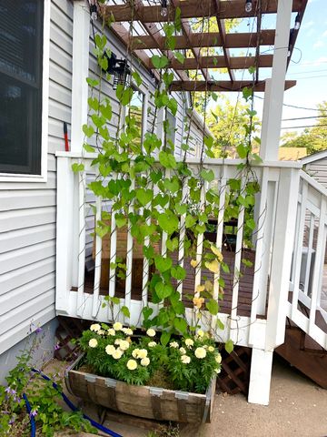 4438 Yates Avenue N, Crystal, MN 55422