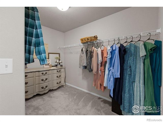 1525 Lake Vista Way, Severance, CO 80550