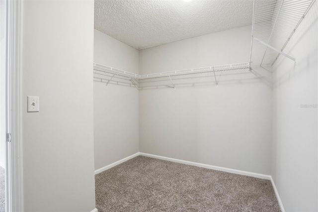5736 GUANA PARK COURT, Jacksonville, FL 32244
