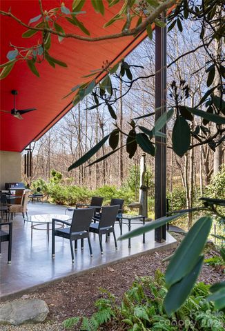 33 Robinson Creek Road, Asheville, NC 28803