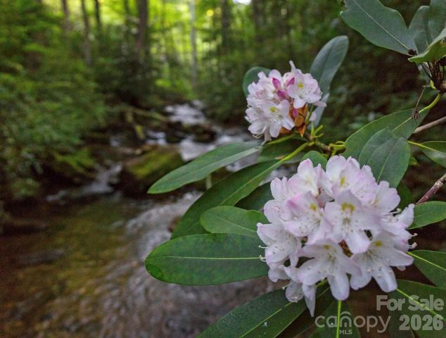 33 Robinson Creek Road, Asheville, NC 28803