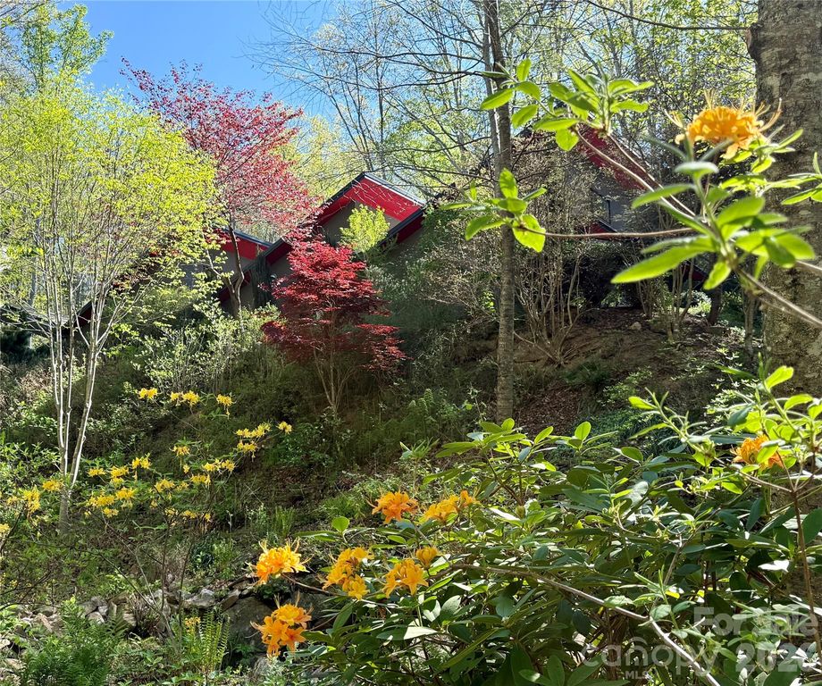 33 Robinson Creek Road, Asheville, NC 28803