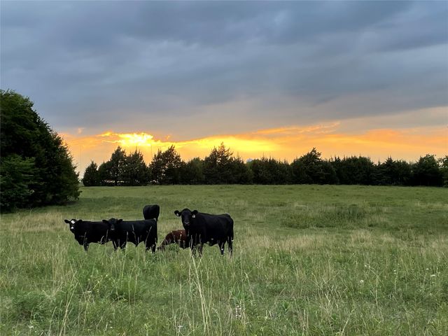 2060 N Stodghill Road, Rockwall, TX 75087