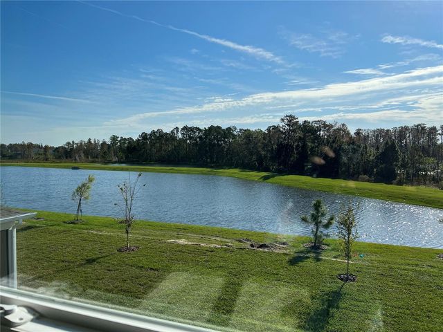 17575 SAW PALMETTO AVENUE, Clermont, FL 34714