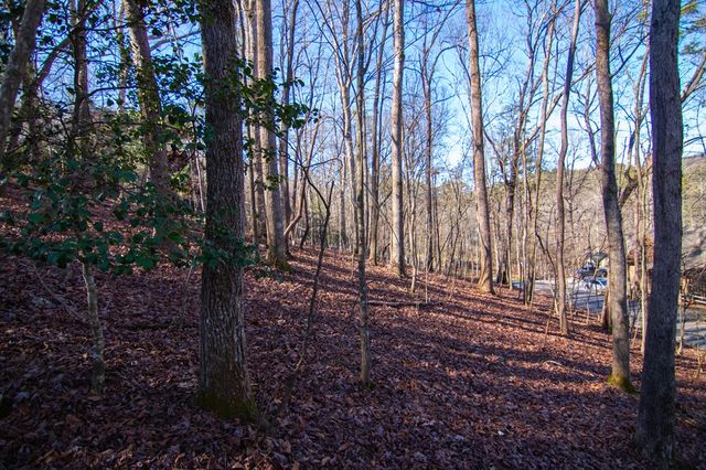 Lot 478 Navaho Way, Ellijay, GA 30540