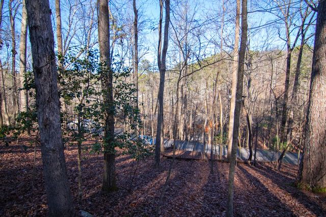 Lot 478 Navaho Way, Ellijay, GA 30540