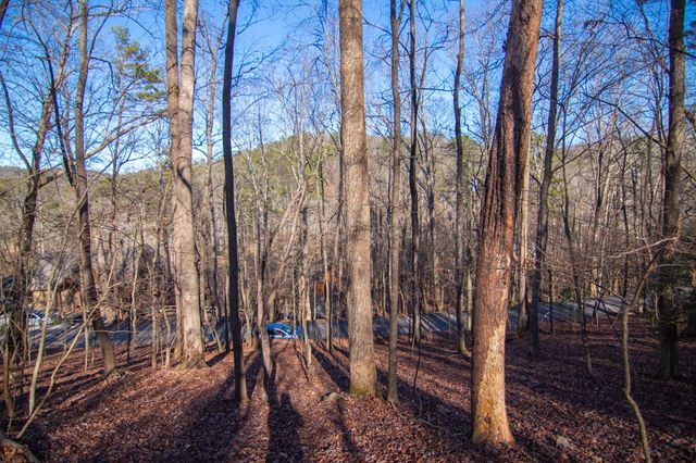 Lot 478 Navaho Way, Ellijay, GA 30540