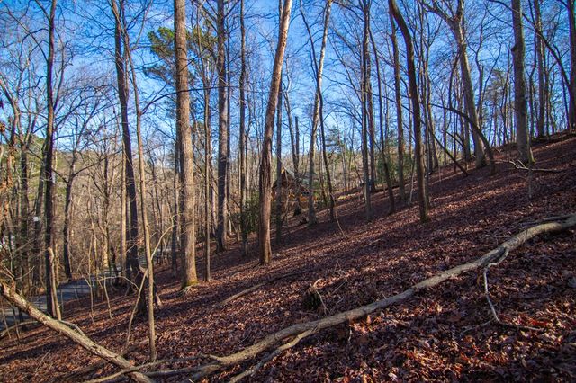 Lot 478 Navaho Way, Ellijay, GA 30540