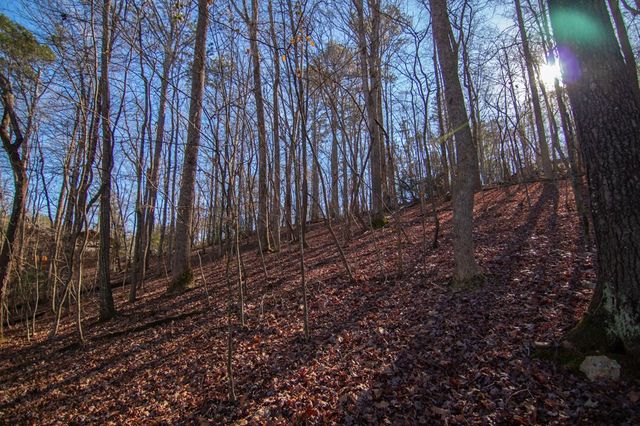 Lot 478 Navaho Way, Ellijay, GA 30540
