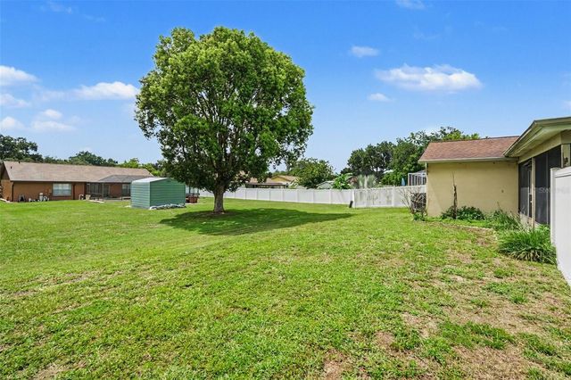 2815 LINDEN TREE STREET, Seffner, FL 33584