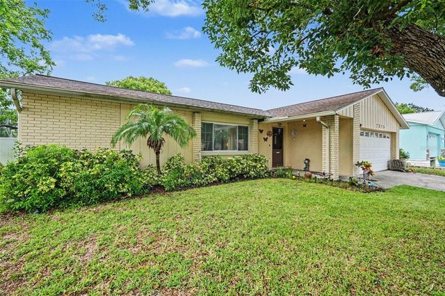 2815 LINDEN TREE STREET, Seffner, FL 33584