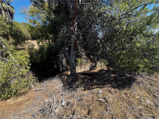 186140 Avenida Juan Bautista, Jurupa Valley, CA 92509