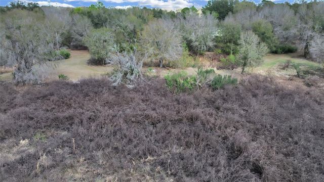 9924 ART ACRES ROAD, Dover, FL 33527