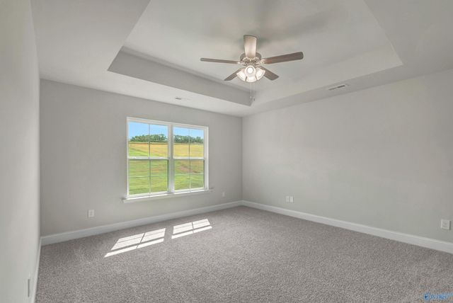 14199 Wildflower Drive, Harvest, AL 35749