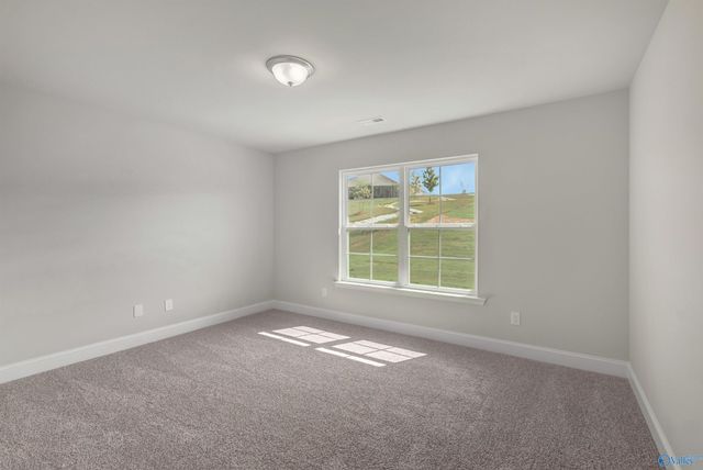 14199 Wildflower Drive, Harvest, AL 35749