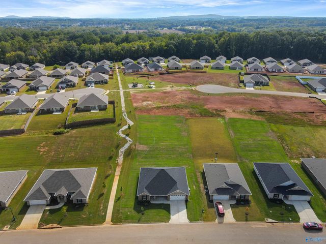 14199 Wildflower Drive, Harvest, AL 35749