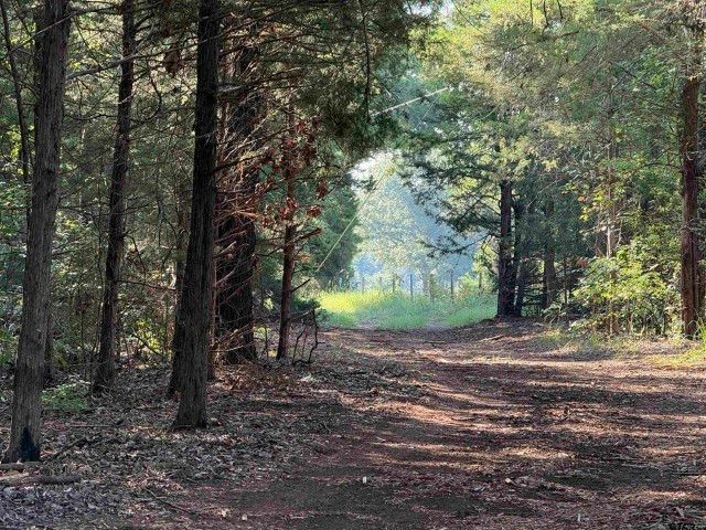 21120 Fm 16 W, Lindale, TX 75771