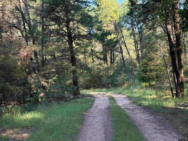21120 Fm 16 W, Lindale, TX 75771